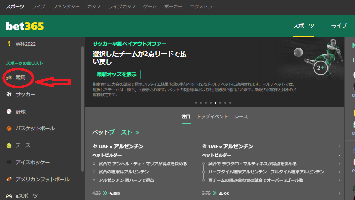 ブックメーカーで競馬に賭ける方法１