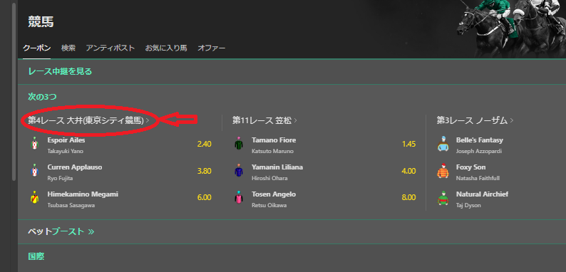 ブックメーカーで競馬に賭ける方法２