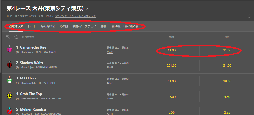 ブックメーカーで競馬に賭ける方法３