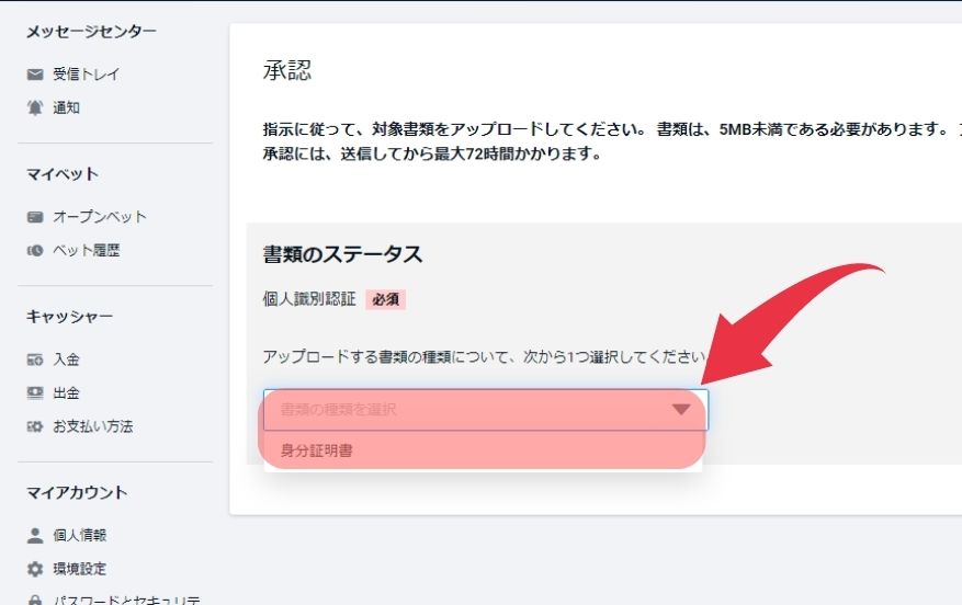 ピナクルカジノのKYC方法３