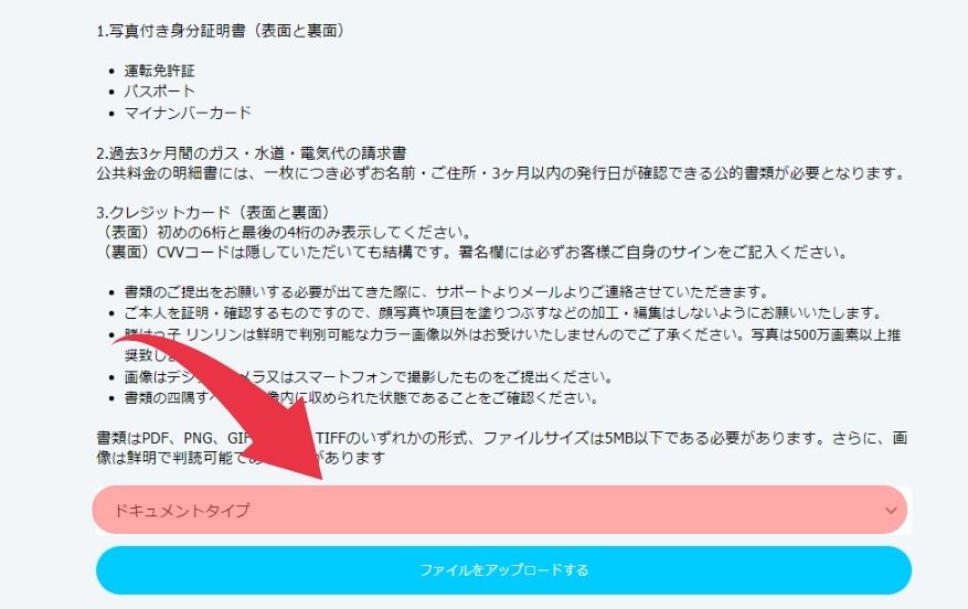 賭けっ子リンリンのKYC方法２